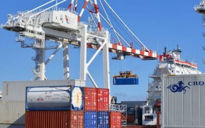 Le guide ultime des tailles de containers pour optimiser vos expéditions