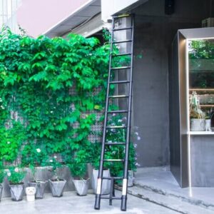 échelle télescopique