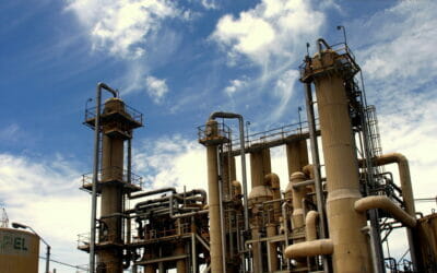 Gestion des nuisibles : quel est le prix des produits antinuisibles ?