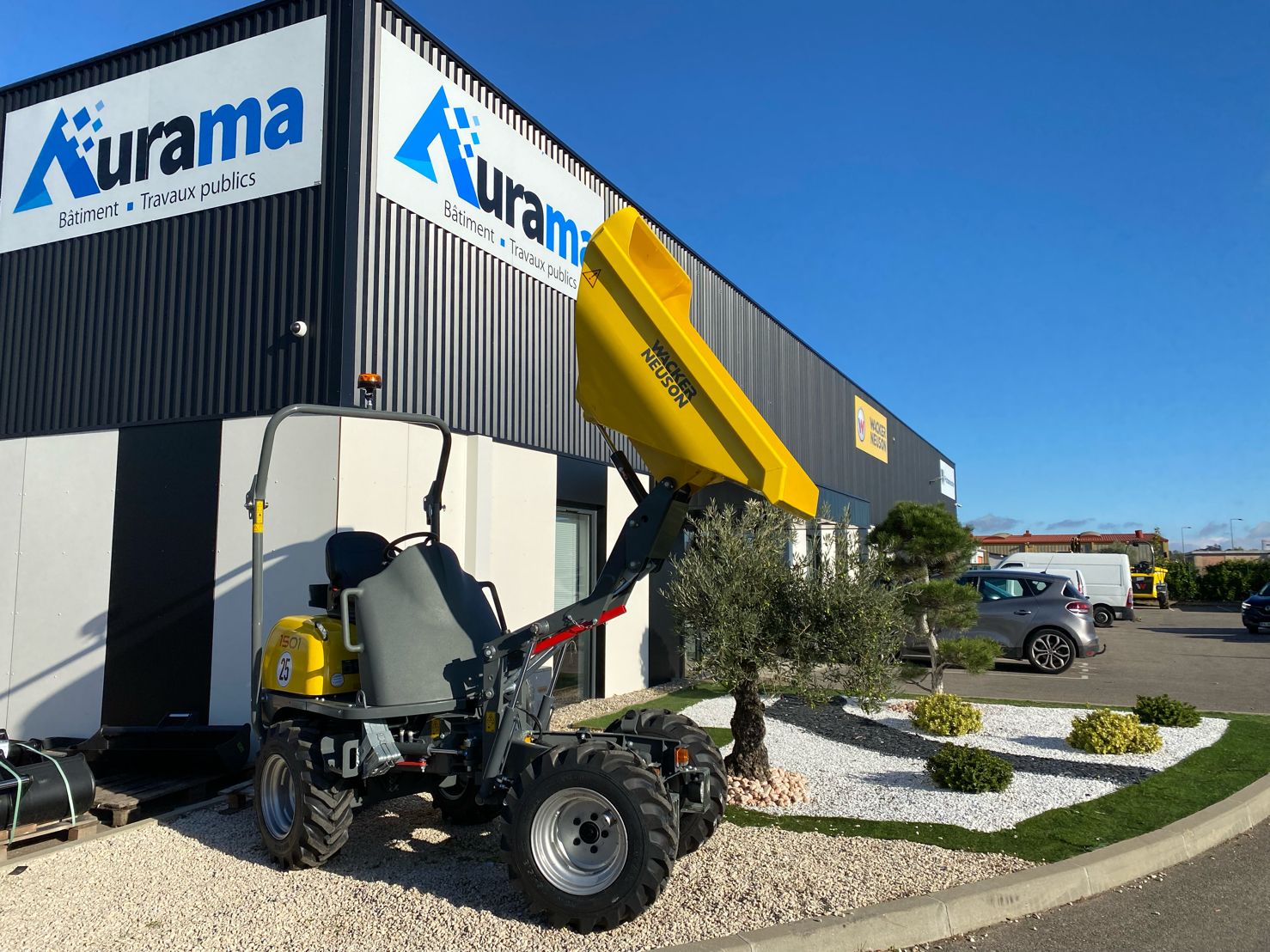 dual dumper dual view