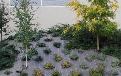Les Toiles de paillage : Un atout écologique